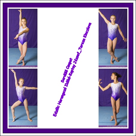 Serd�l� Elit csapat